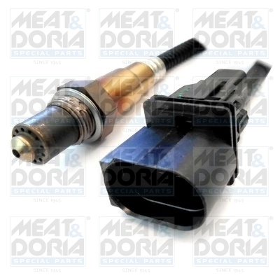 Oxygen Sensor